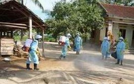 Công điện của Thủ tướng về cúm H5N1, bệnh tay chân miệng, sốt xuất huyết